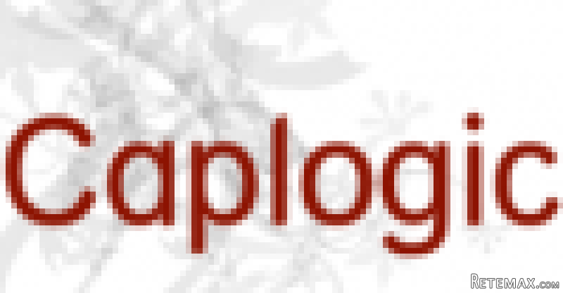 Ingénieur d'Etat Développement JEE/FORMS