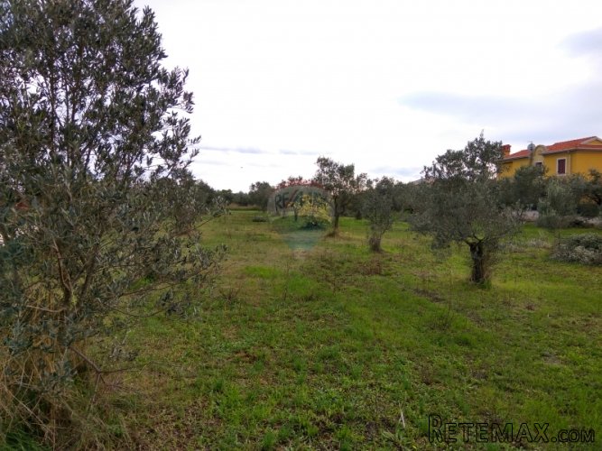ISTRA, FAŽANA, građevinsko zemljište 400m od mora - 5