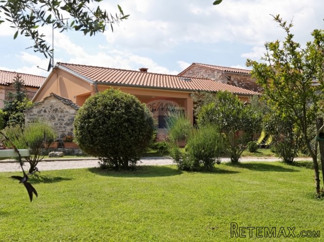 ISTRA -LIJEPA PRIZEMNA KUĆA S VELIKOM UREĐENOM OKUĆNICOM - 2