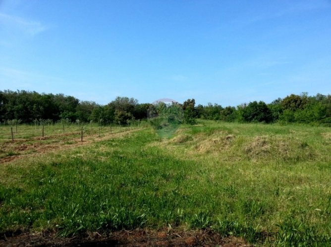 MEDULIN OKOLICA,ZEMLJIŠTE ZA GRADNJU TURISTIČKOG NASELJA - 2