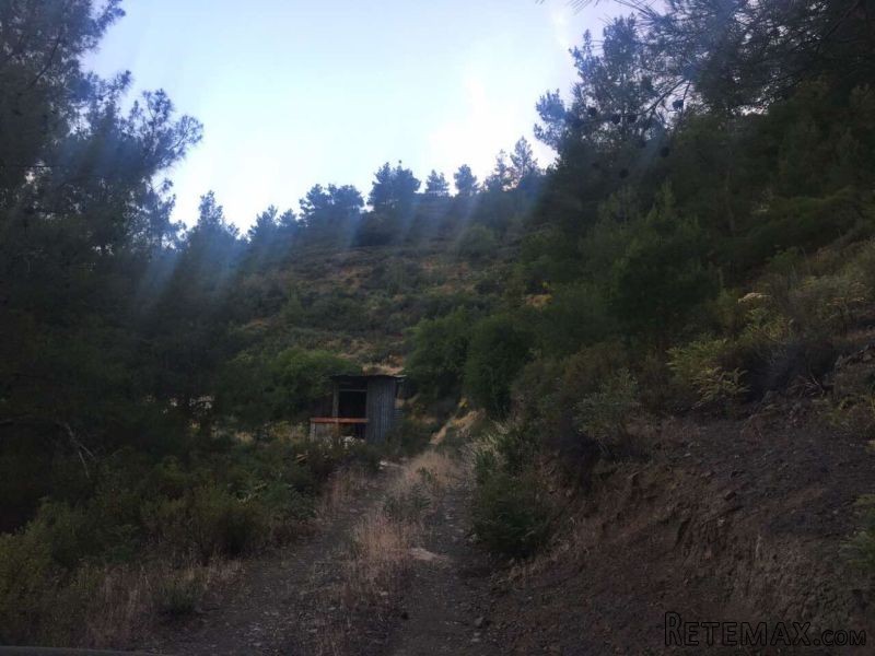 Large piece of land for sale in the..