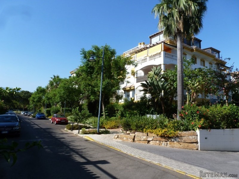 Penthouse with large terrace in Dama De..