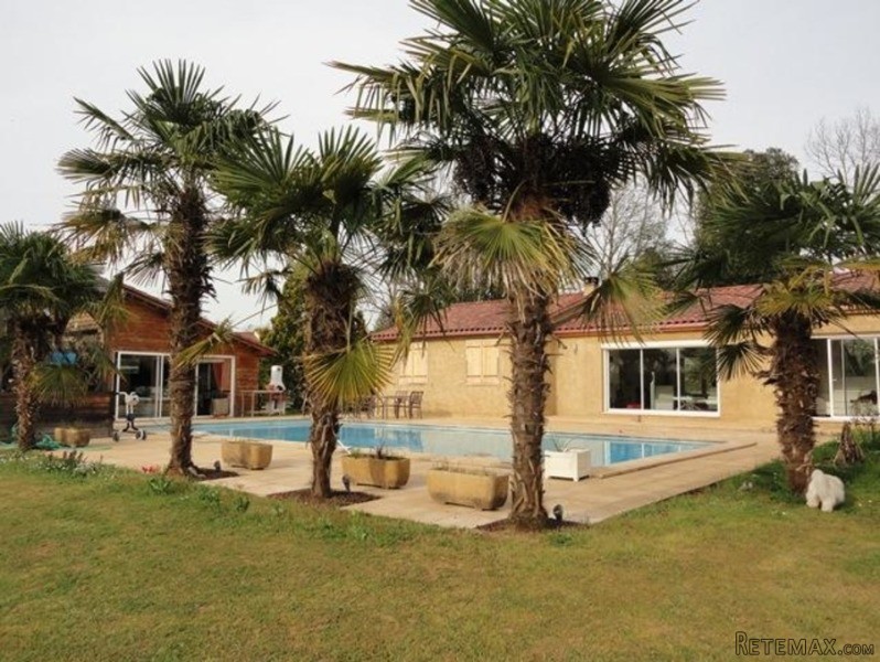 Modern Bungalow With Swimming Pool And.. - 2
