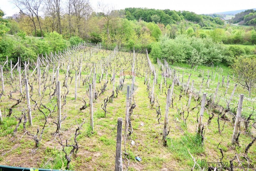 Donja Zelina, kuća, okućnica, moguć kredit - 8