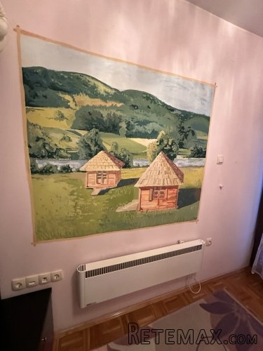 Apartman na Zlatiboru - 10