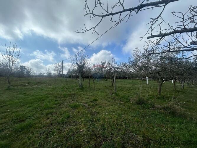 Istra, Poreč okolica - građevinsko zemljište otvorenog pogle - 2