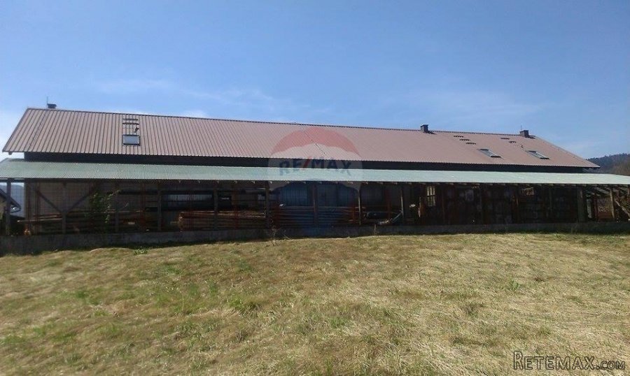 Vrbovsko Prilika-proizvodnja - 2
