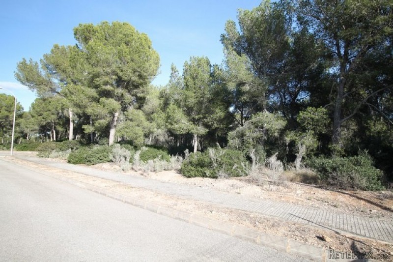 Plot for sale in Nova Santa Ponsa. - 2