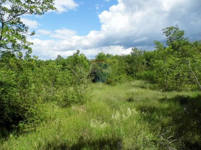 Istra - Bale - poljoprivredno zemljište 65.000 m2