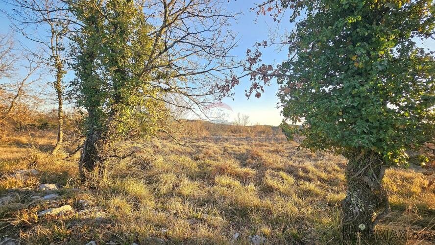 Istra, Grožnjan- poljoprivredno zemljište - 2