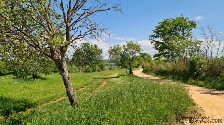 Poreč okolica: Građevinsko zemljište 7 km od Poreča - 2