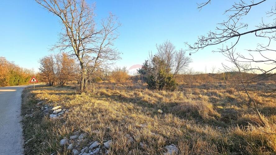 Istra, Grožnjan- poljoprivredno zemljište - 3