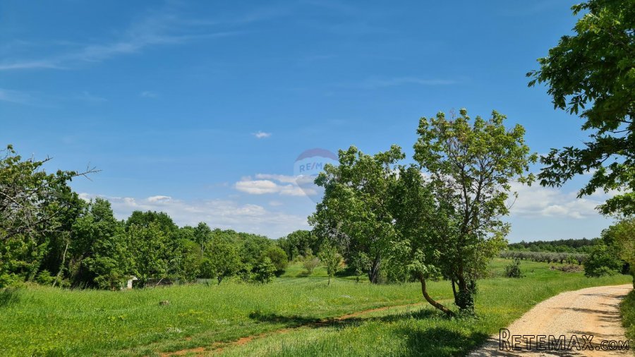 Poreč okolica: Građevinsko zemljište 7 km od Poreča - 3