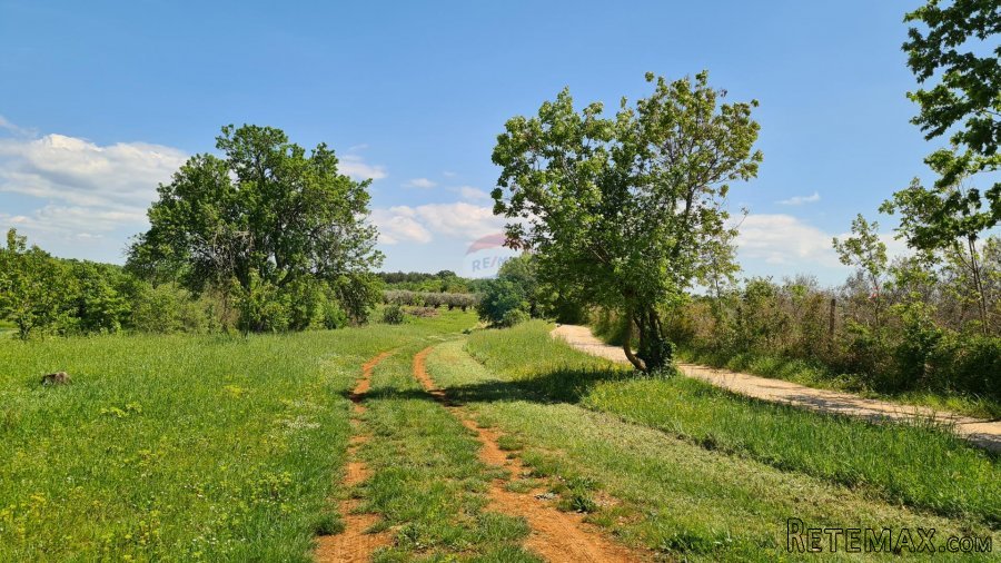 Poreč okolica: Građevinsko zemljište 7 km od Poreča - 4