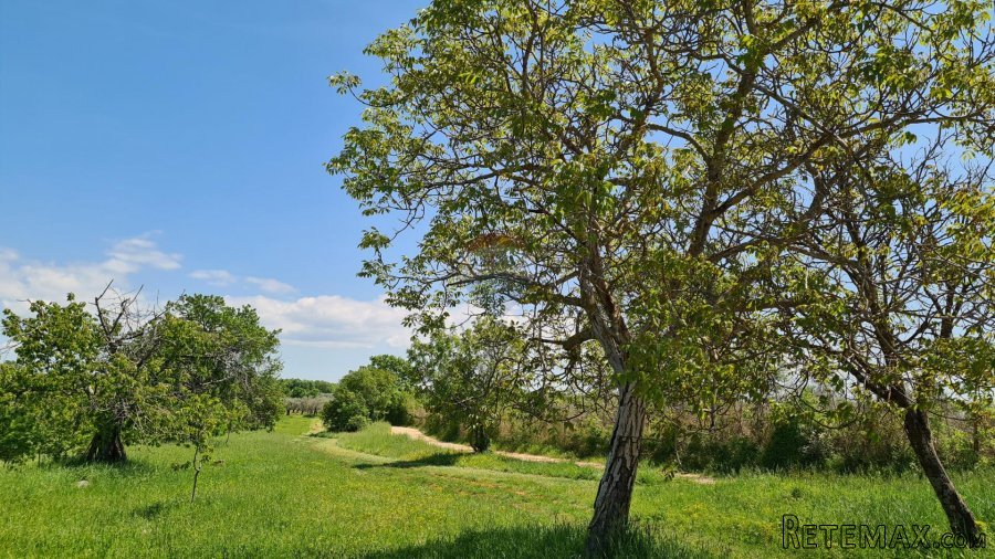 Poreč okolica: Građevinsko zemljište 7 km od Poreča - 6