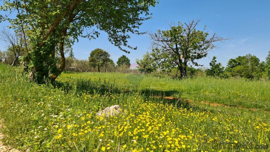 Poreč okolica: Građevinsko zemljište 7 km od Poreča - 7