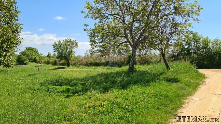 Poreč okolica: Građevinsko zemljište 7 km od Poreča - 8