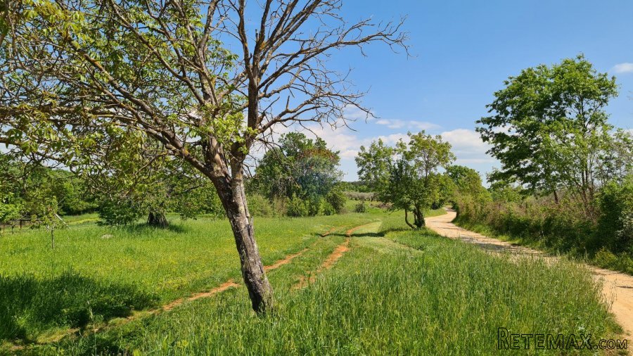 Poreč okolica: Građevinsko zemljište 7 km od Poreča - 9