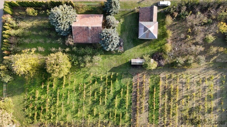 Bio salaš/bio gazdinstvo u okolini Subotice - 2