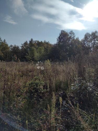 Još 4.5 Ha netaknute divljine - 2