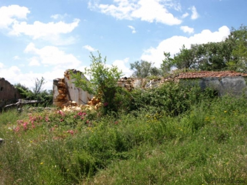 Building Plot For Sale Near Alvaiazere - 2