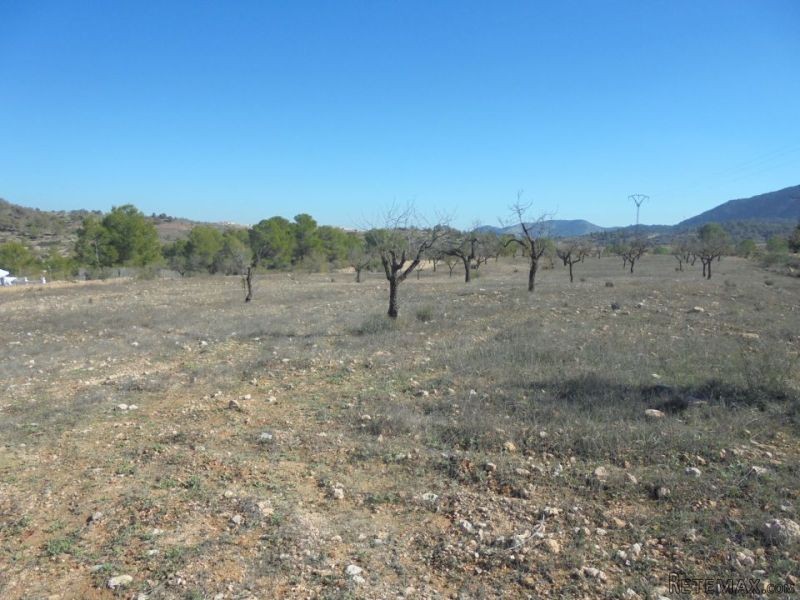 Undeveloped Land Of 10,000m2 With.. - 2
