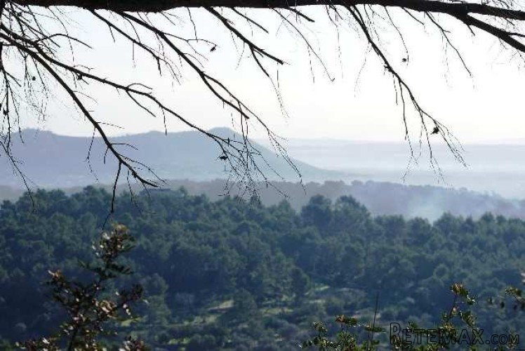 Plot of land, 50.000 m2, with spectacular 360 degrees views.. - 4