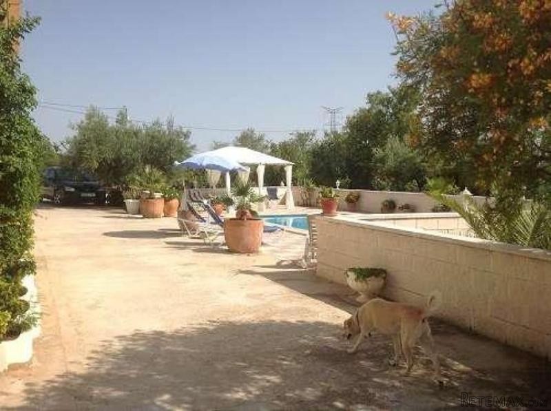 Beautiful Villa with pool in Onil.. - 2