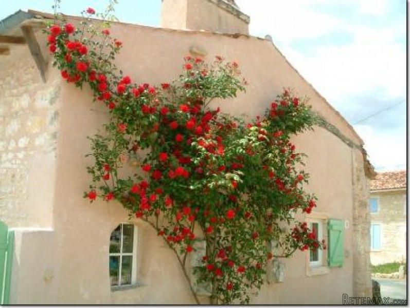 Two Renovated Stone Houses With.. - 2