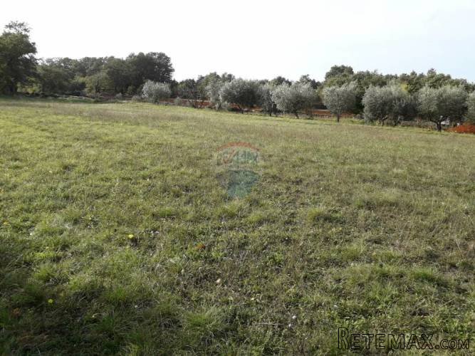 ISTRA,DIVŠIĆI građevinska parcela