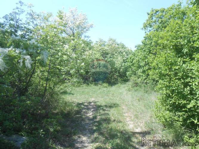 Istra, Krnica, ogromno poljoprivredno zemljište