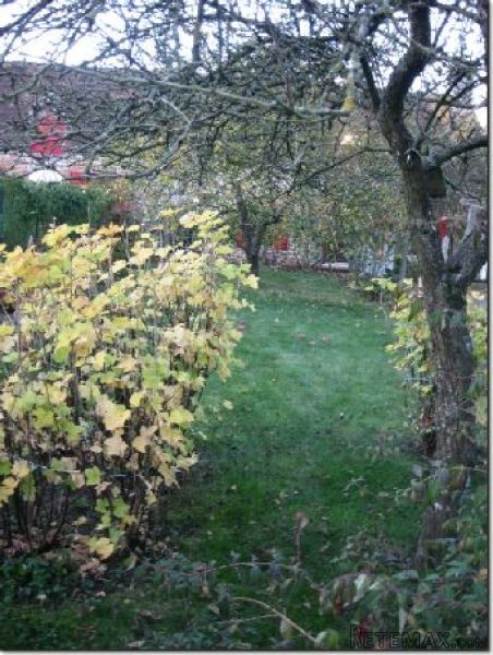 Nice Village House with Garden - 2