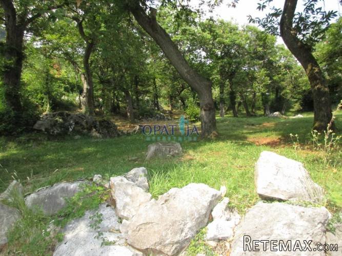 Dobreć građevinsko zemljište 2740 m2 - 3
