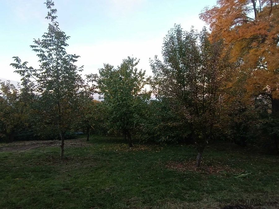 Kuca na Kosmaju - 13
