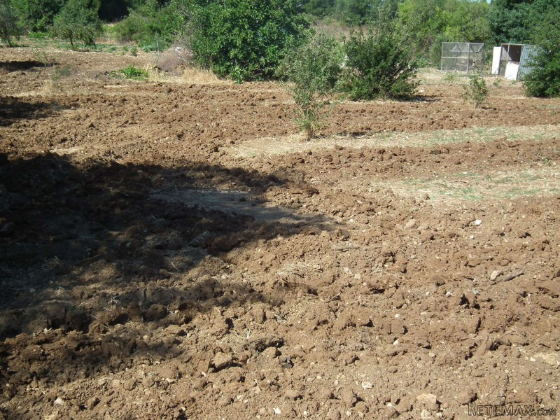 Land - Paphos - For Sale - 2