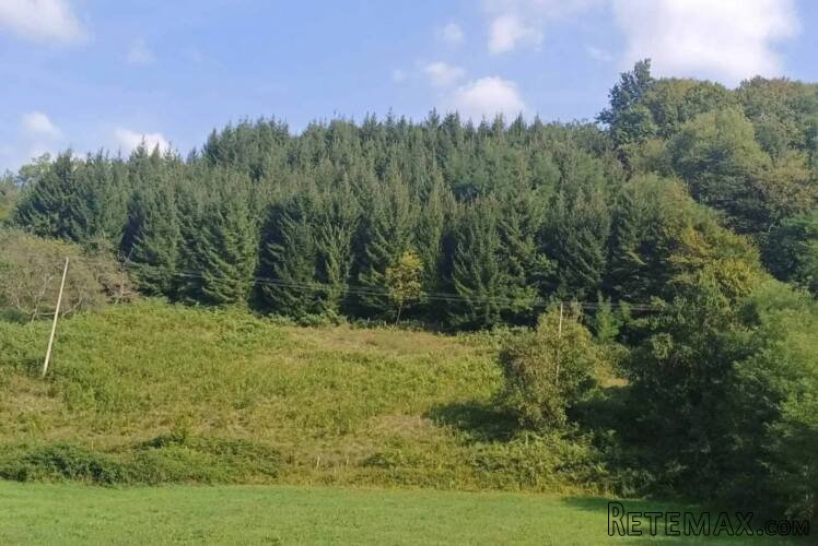 Prodajem seosko domacinstvo Bajina Basta-Solotusa - 6