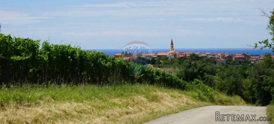 Istra, Brtonigla - stara kamena kuća za adaptaciju