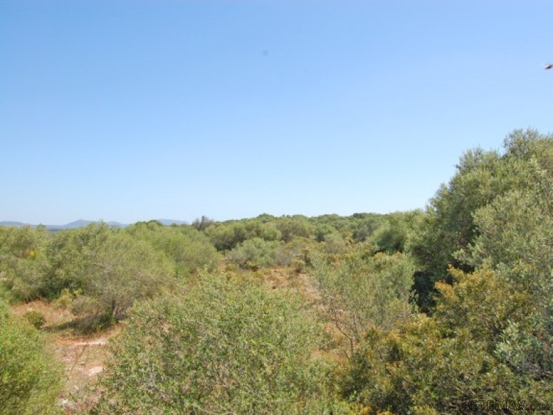 Plot With Partial Sea Views In Sa Torre