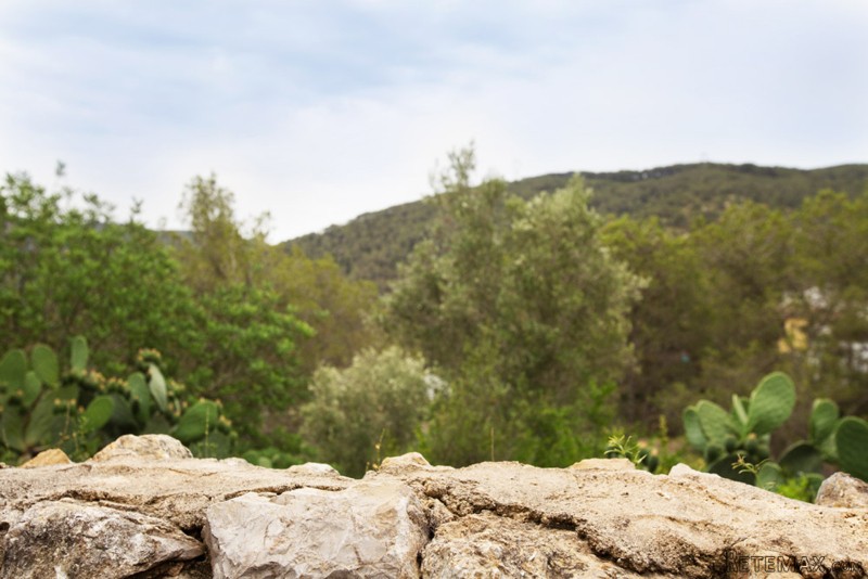 Authentic Spanish Hacienda - 2