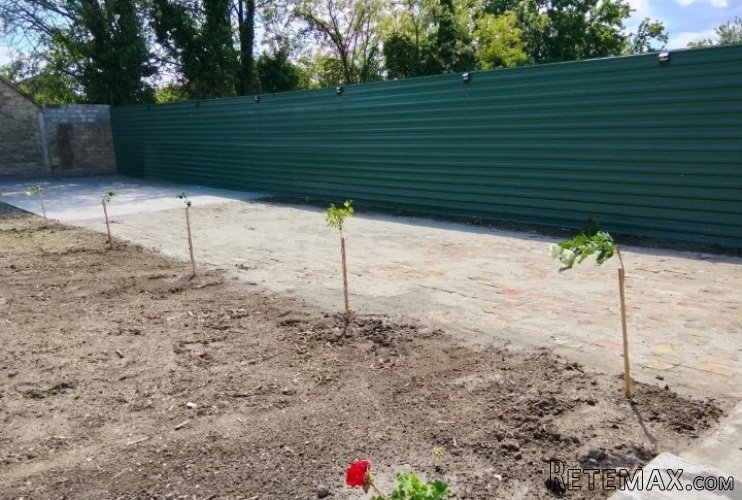 Prodajem kuću u Bačkom Petrovom Selu - 10