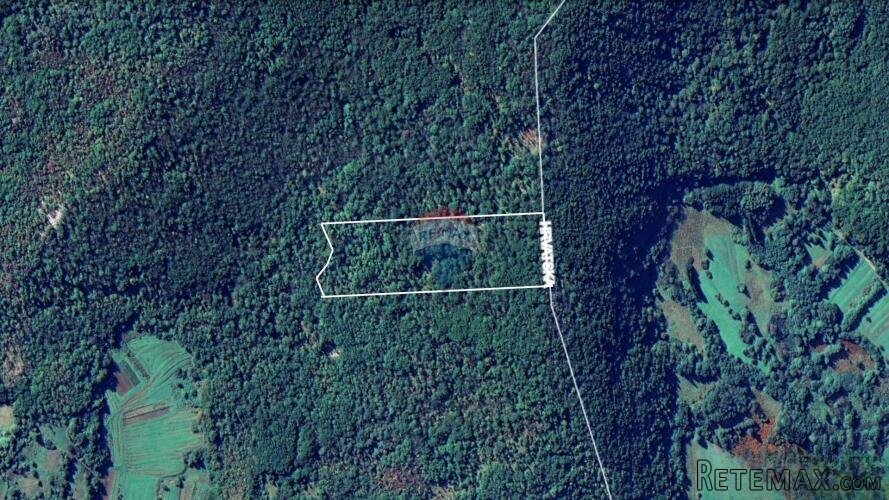 MATULJI - BRDCE - ŠUMA - 17.200 m2