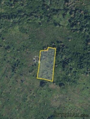 prodaje se više poljoprivrednih zemljišta, Glina - 6.981m² - 2