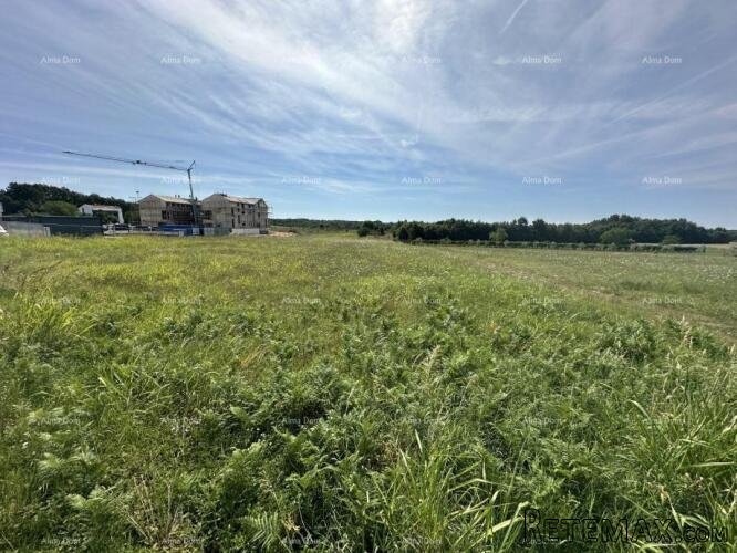 Prodaje se građevinsko zemljište, 5832m2, Barban