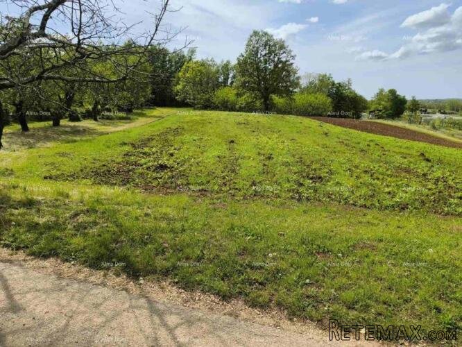 GRAĐEVINSKO ZEMLJIŠTE 2.297 m² U BLIZINI PAZINA