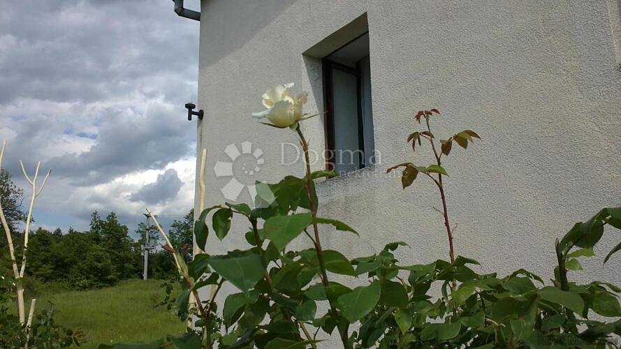 ISTRA,IMPOZANTNO IMANJE SA DVIJE KAMENE KUĆE - 3