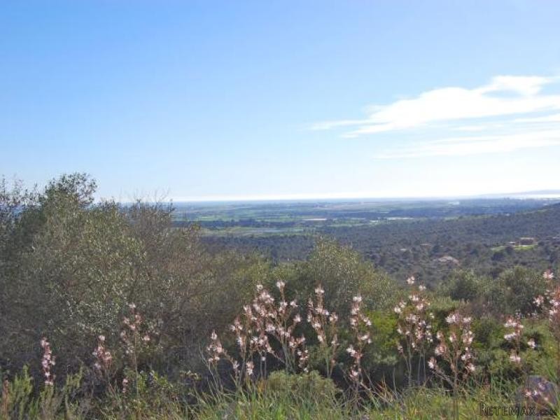 Plot With Sea Views In Puntiro
