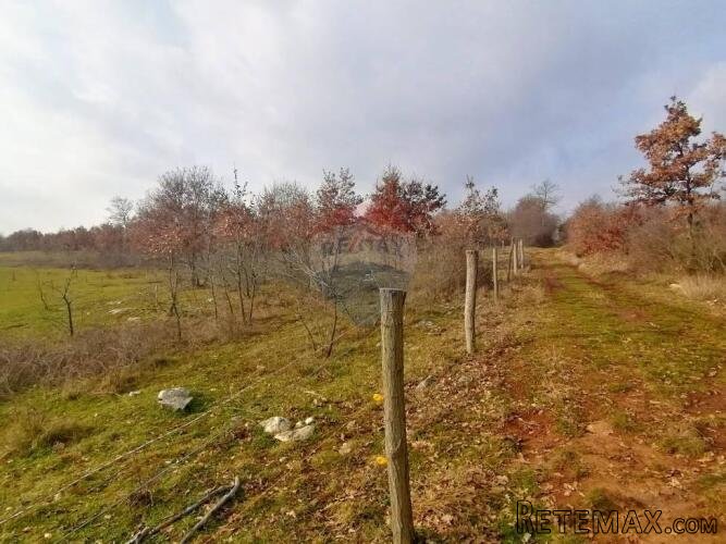 Poreč, Dračevac - Negrađevinsko zemljište 17415 m2