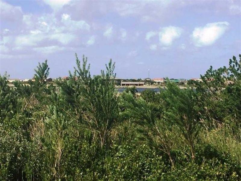 Bettys Bay Vacant Land, Bettys Bay - 2