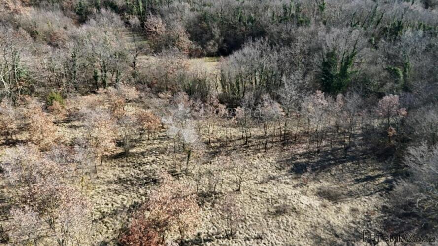 Žminj, Građevinsko zemljište u srcu Istre - 2