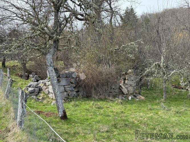 ZEMLJIŠTE POD ŠUMOM BLIZU JEZERA KRUŠČICA - 2
